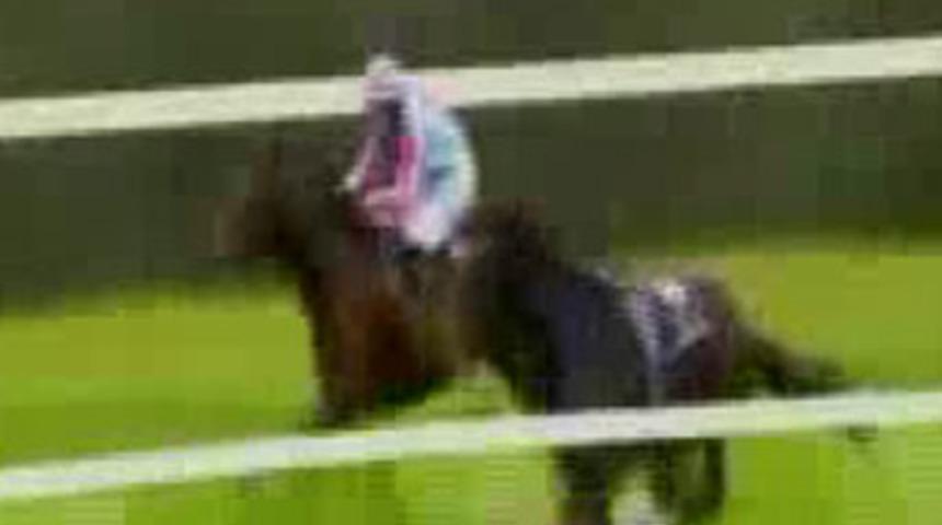 Atın yaptığına bak!