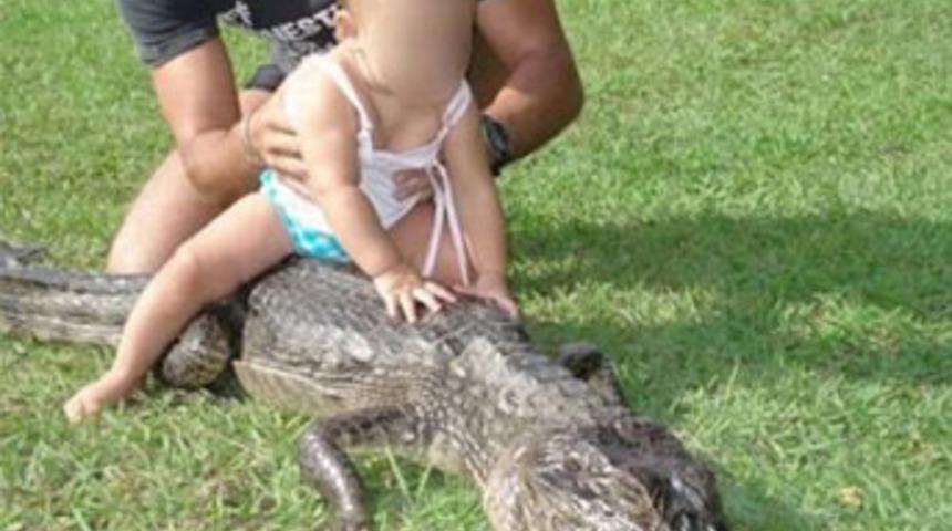 Biri insan biri hayvan...