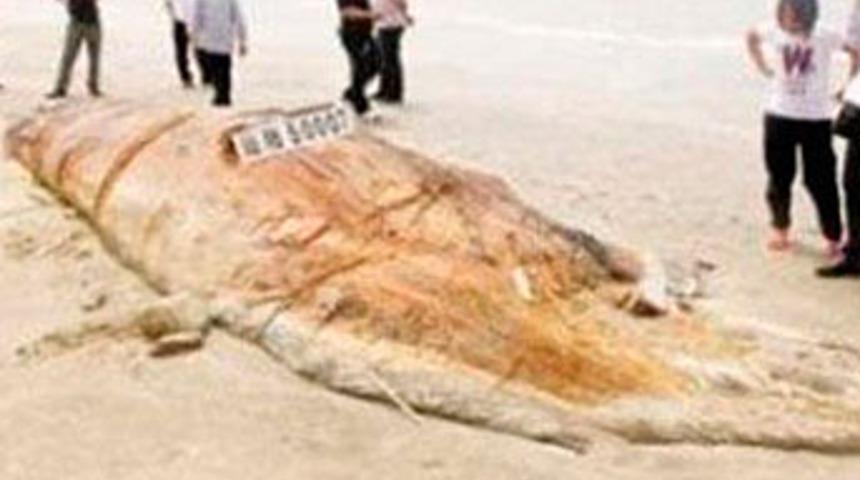 &Ccedil;in'de dev yaratık paniği