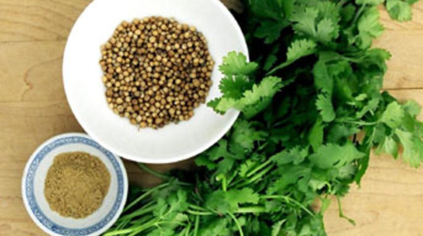 Diren&ccedil;li bakterilere &lsquo;kişniş&rsquo; darbesi