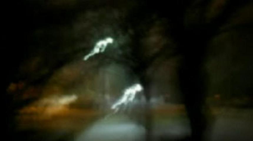 Bu fotoğraf uzmanları ikiye b&ouml;ld&uuml;