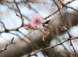 Gıda fiyatlarına 'yalancı bahar' etkisi: 'Artış olabilir'