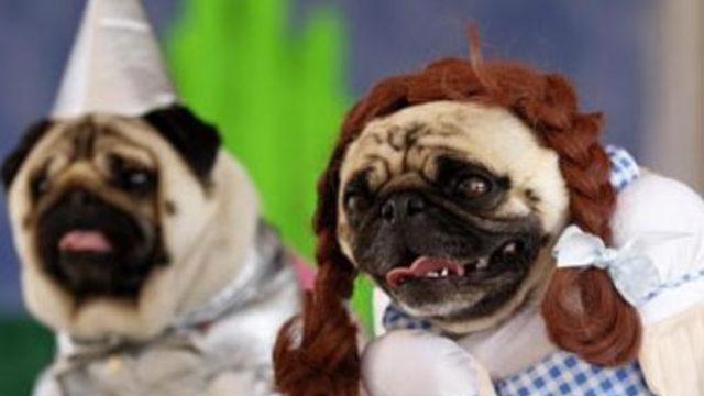 Roxygül'ün suçu ne?