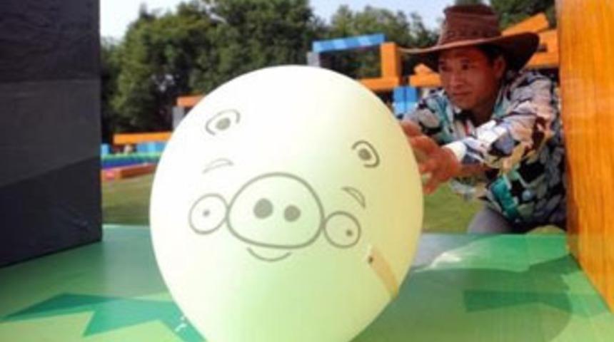 İşte ger&ccedil;ek Angry Birds!