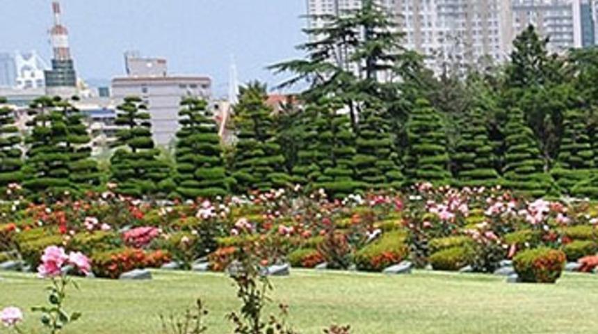 Buranın neresi olduğunu d&uuml;nyada bilemezsiniz