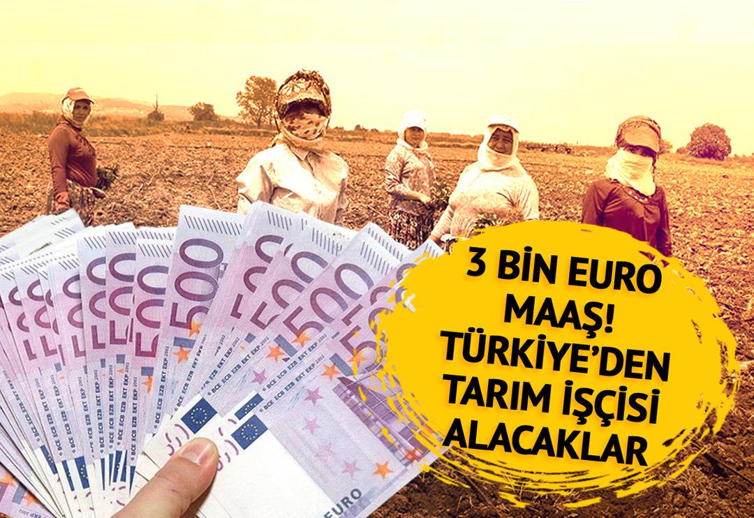 Ayda 3 bin euro maaş! T&uuml;rkiye'den mevsimlik tarım iş&ccedil;isi alacaklar! G&uuml;nlerdir &ccedil;ift&ccedil;iler ayaktaydı... Fransa'dan dikkat &ccedil;eken hamle  