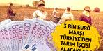 Ayda 3 bin euro maaş! Türkiye'den mevsimlik tarım işçisi alacaklar