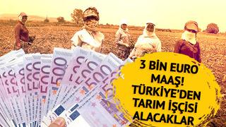 Ayda 3 bin euro maaş! Türkiye'den mevsimlik tarım işçisi alacaklar! Günlerdir çiftçiler ayaktaydı... Fransa'dan dikkat çeken hamle  