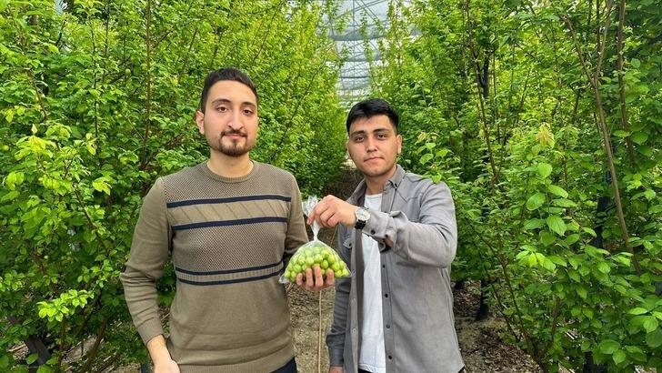 Arap şeyhleri kilolarca sipariş veriyor! Fiyatı çeyrek altınla yarışıyor... 3 bin 500 TL'yi buldu 'Duyunca soluğu burada aldım' G5