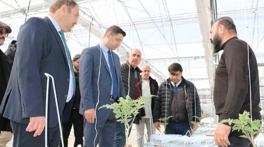 Erzincan’da jeotermal ısıtmalı topraksız serada ilk fideler dikildi