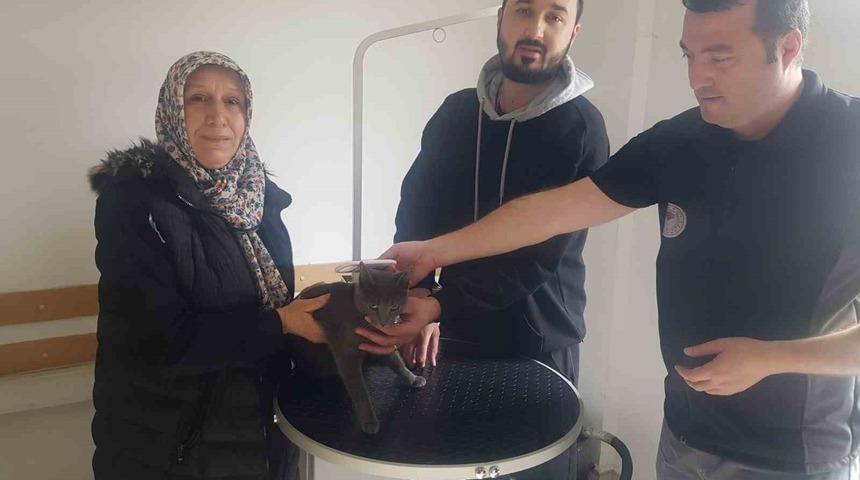 Kayıp kedi mikroçip sayesinde bulundu