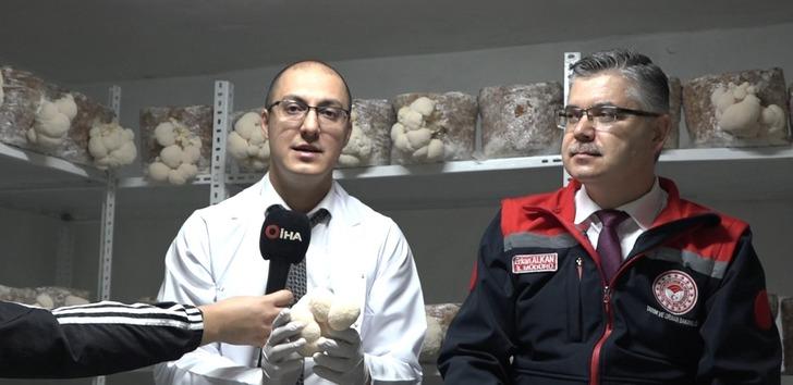 Balıkesir'de ilk! Hobisini gelire dönüştürdü, evinin bodrumunda üretiyor: Yurt dışından alıcılar var! G1