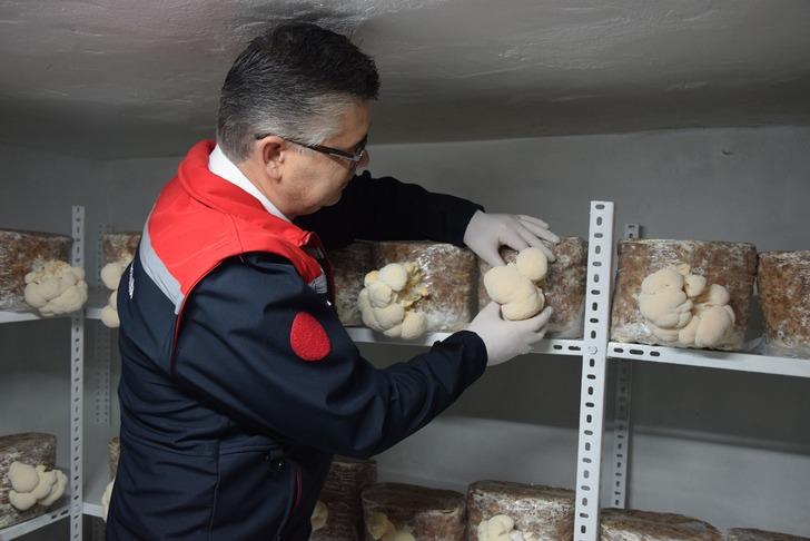 Balıkesir'de ilk! Hobisini gelire dönüştürdü, evinin bodrumunda üretiyor: Yurt dışından alıcılar var! G4