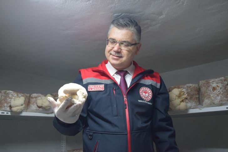 Balıkesir'de ilk! Hobisini gelire dönüştürdü, evinin bodrumunda üretiyor: Yurt dışından alıcılar var! G5