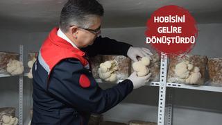 Balıkesir'de ilk! Hobisini gelire dönüştürdü, evinin bodrumunda üretiyor: Yurt dışından alıcılar var!