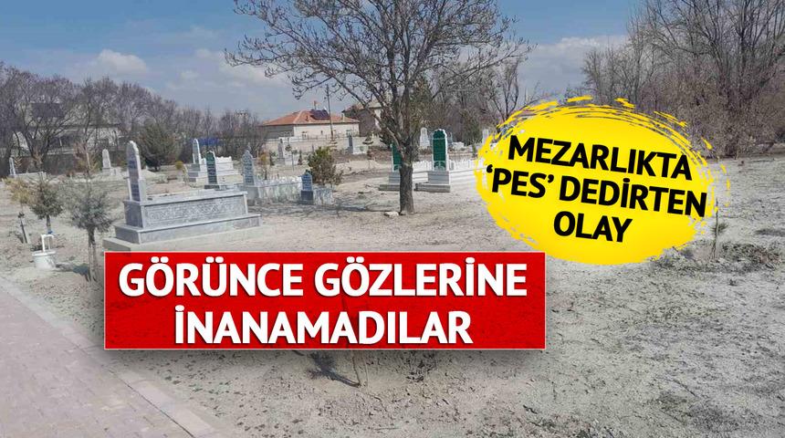 Mezarlığa gelince gördükleri karşısında şaşkına döndüler! 'Bunu insan olan yapmaz'