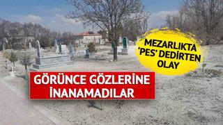 Mezarlığa gelince gördükleri karşısında şaşkına döndüler! 'Bunu insan olan yapmaz'