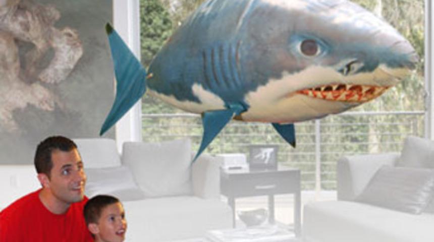 B&ouml;yle oyuncak mı olur?