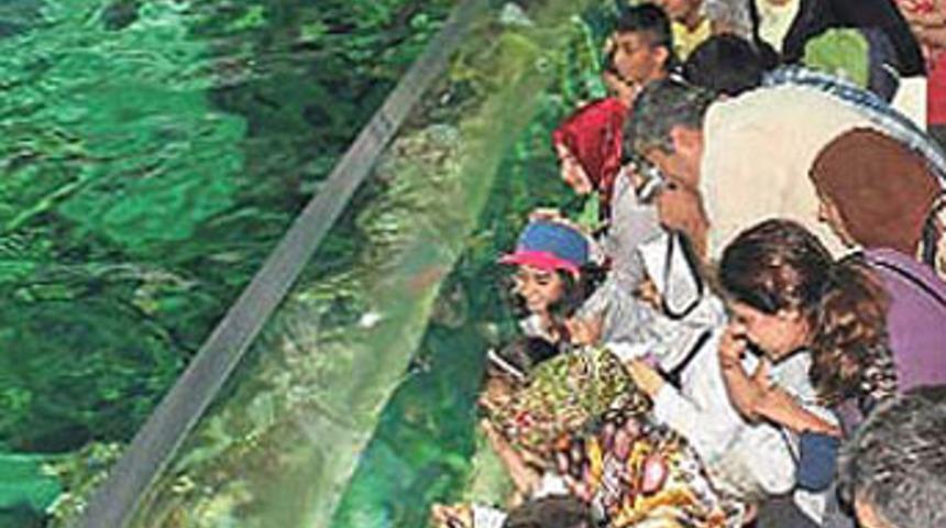 Flaşlar balık katili oldu!