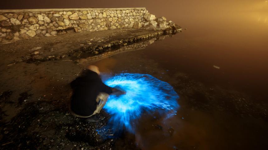 Bursa kıyılarında planktonların çoğalmasıyla deniz suyu yer yer renk değiştirdi