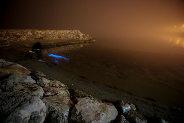 Marmara’da deniz suyu renk değiştirdi, mavi renkli parlamalar ortaya çıktı! İşte o anlar… G4