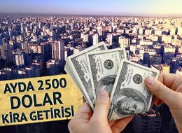 Kirada yüzde 25 zam sınırı rotayı yurt dışına çevirtti! Kadıköy'de 1+1 yerine Amerika'da 2 katlı ev... Ayda 2 bin 500 dolar getiri