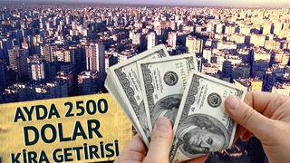 Kirada yüzde 25 zam sınırı rotayı yurt dışına çevirtti! Kadıköy'de 1+1 yerine Amerika'da 2 katlı ev... Ayda 2 bin 500 dolar getiri