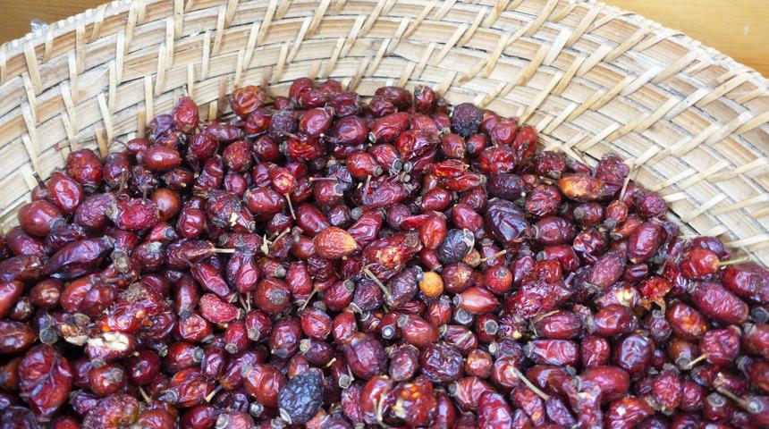 Kuşburnunun faydaları nelerdir? Kuşburnu neye iyi gelir?