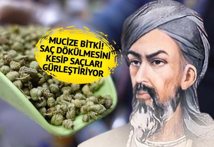 İbn-i Sina'dan bu yana el üstünde tutuluyor! Saç dökülmesini şıp diye kesiyor, saçları güçlendiriyor... Her derde deva