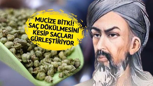İbn-i Sina'dan bu yana el üstünde tutuluyor! Saç dökülmesini şıp diye kesiyor, saçları güçlendiriyor... Her derde deva
