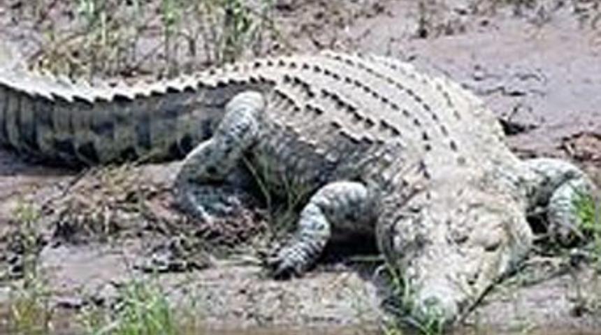 Böyle intihar görülmedi