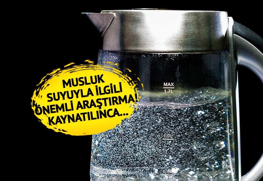 'Musluk suyunu kaynatmak' ile ilgili &ouml;nemli araştırma: Y&uuml;zde 80'ini ortadan kaldırıyor! Şişe suyuna g&ouml;re...