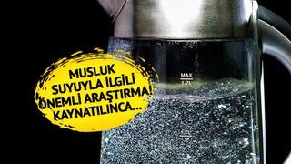 'Musluk suyunu kaynatmak' ile ilgili önemli araştırma: Yüzde 80'ini ortadan kaldırıyor! Şişe suyuna göre...
