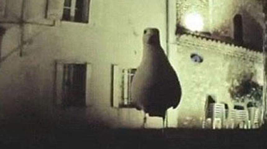 "Kuş bakışı" ger&ccedil;ek oldu