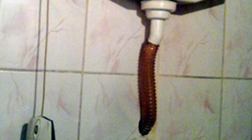 Mouse ile entegre sifon