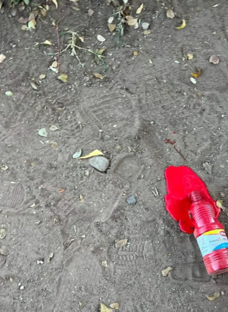 İstenmeyen gelin vakasında kayınvaliden şaşırtan plan! Gelinliğine kırmızı boya atmaları için adam kiraladı... 'Bu resmen kayınvalide terörü' G2