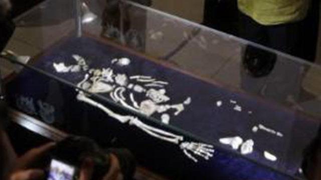 Evrimin kayıp halkası bulundu iddiası