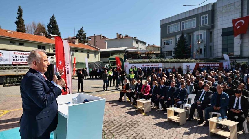 Denizli&rsquo;de 14 il&ccedil;ede 240 bin zeytin fidanı toprakla buluşacak