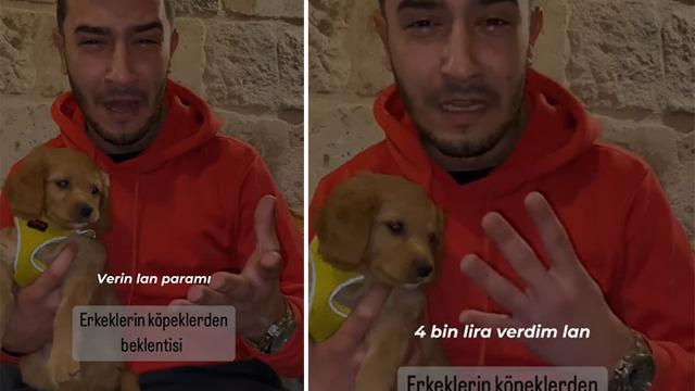 'Erkeklerin köpeklerden beklentisi' diyerek gözyaşları içinde paylaştı! Bir tane kız düşüremedi