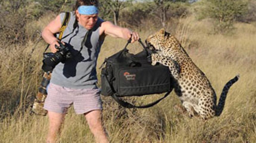 Belgesel çekerken leopara yem oluyordu