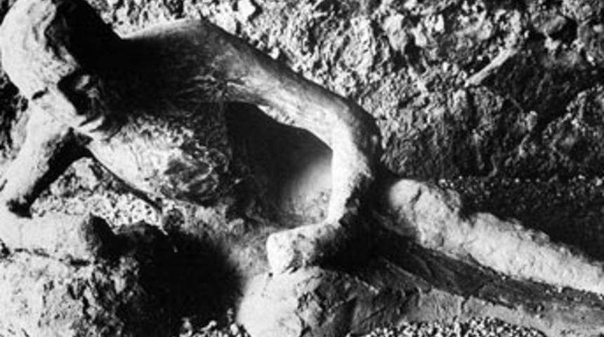 Taşlaşmış insan şehri Pompei