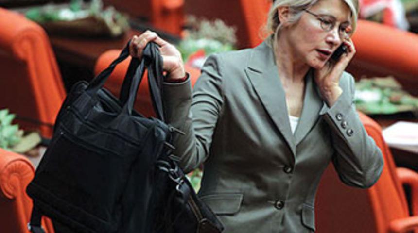 Ben demir leblebiyim