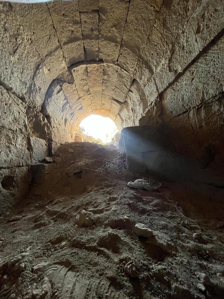"MAALESEF BİZİM COĞRAFYADA DEFİNECİLERİN TALANINA MARUZ KALIYOR"