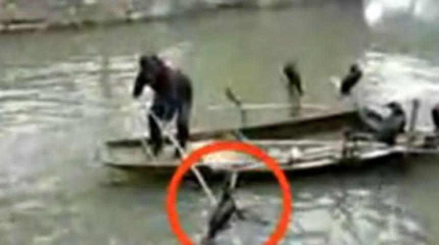 &Ccedil;inli balık&ccedil;ının şeytani zekası