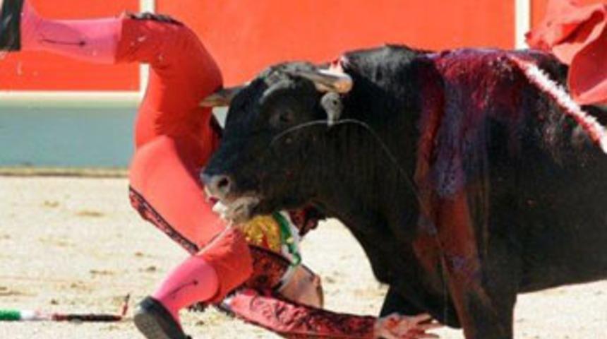 Kadın matador ölümden döndü