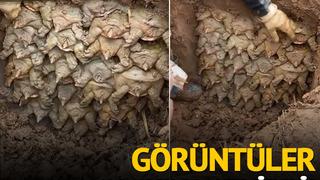 O anlar izleyenleri şaşkına çevirdi! Toprağın altından çıkan bu şeyler ne?