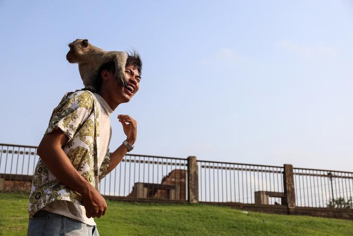 Maymunlar şehri ele geçirdi! Dükkanlar kepenk kapattı, devletin müdahale etmesi şart G1