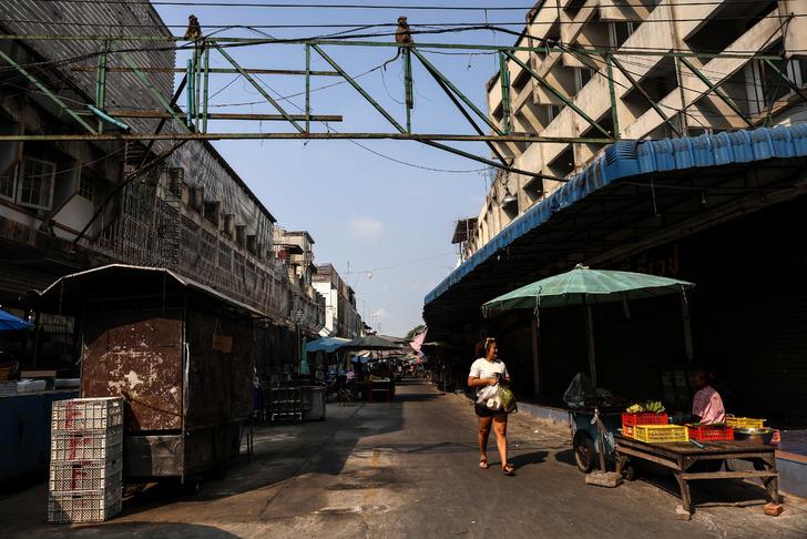Maymunlar şehri ele geçirdi! Dükkanlar kepenk kapattı, devletin müdahale etmesi şart G4