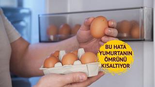 Yıllardır yanlış biliniyormuş: Yumurtayı sakın buzdolabı kapağına koymayın! Yumurtayı daha uzun ömürlü saklama sırrı ortaya çıktı