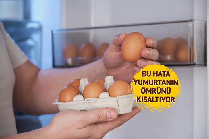 Yıllardır yanlış biliniyormuş: Yumurtayı sakın buzdolabı kapağına koymayın! Yumurtayı daha uzun ömürlü saklama sırrı ortaya çıktı